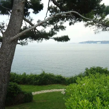 Ana Affittacamere Savudrija